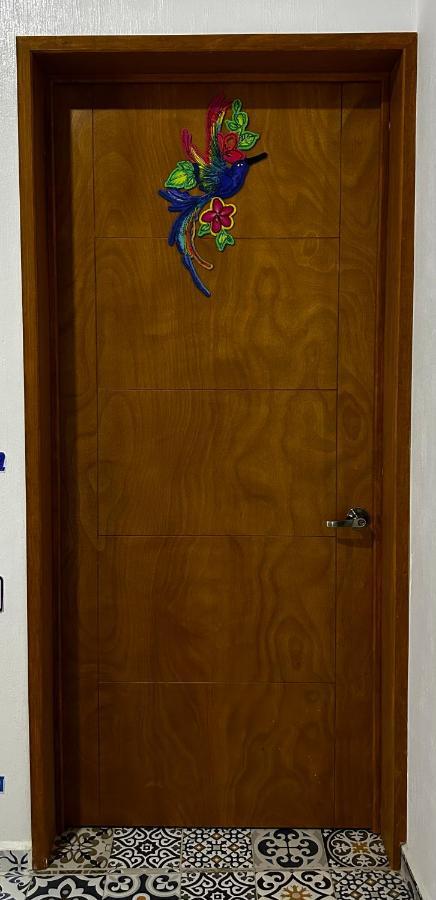 차팔라 Departamentos Colibri Y Tortuga 아파트 외부 사진